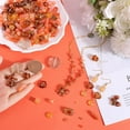 thumbnail image 3 of 1set Acrylic Beads set Orange 4.3~18x7.6~21x4.7~8.5mm Hole: 1.6~2mm, 3 of 5