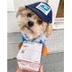 thumbnail image 5 of USPS Dog Courier Carrier Costume, Funny Courier Turned into Pet Dog Medium and Large Dog Halloween Day Decoration Supplies Clothes Clothes (1 Pack, S), 5 of 5