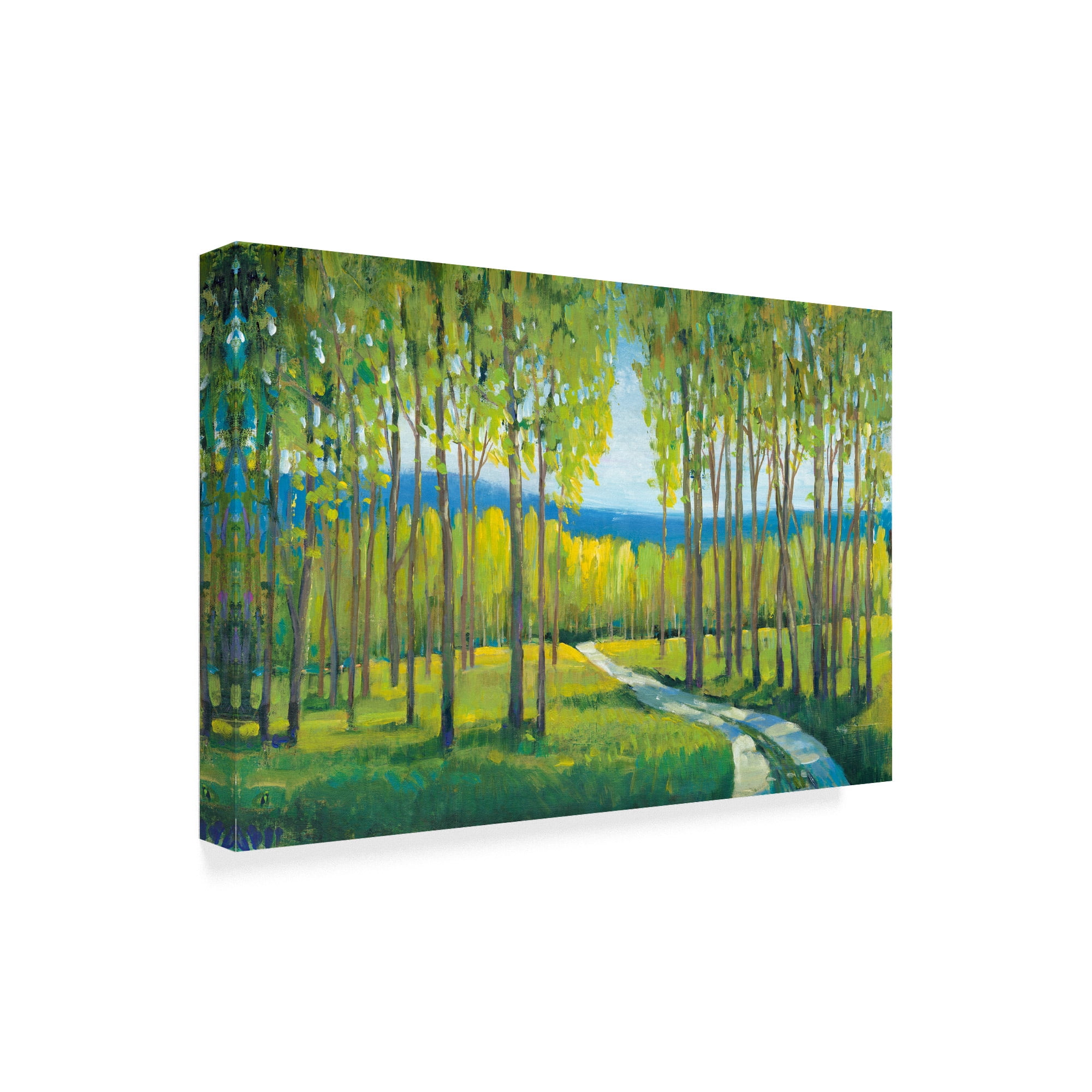Trademark Fine Art 'Morning Stroll I' Canvas Art by Tim OToole