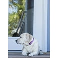 thumbnail image 2 of LupinePet Originals 1" Rose Garden 12-20" Adjustable Collar for Medium and Larger Dogs, 2 of 3