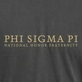 thumbnail image 3 of CafePress - Phi Sigma Pi Gold Wordmark T Shirt - Mens Comfort Colors Shirt, 3 of 5