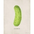 thumbnail image 3 of Marrott, Stephanie 20x24 Black Modern Framed Museum Art Print Titled - Cucumber, 3 of 5