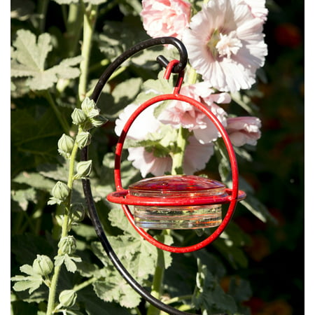 Best Small Glass Hummingbird Feeder with Red Perch - New Bee & Wasp Proof Design - Hummers Love This