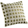 thumbnail image 1 of Hokku Designs Pasquale Throw Pillow, 1 of 1