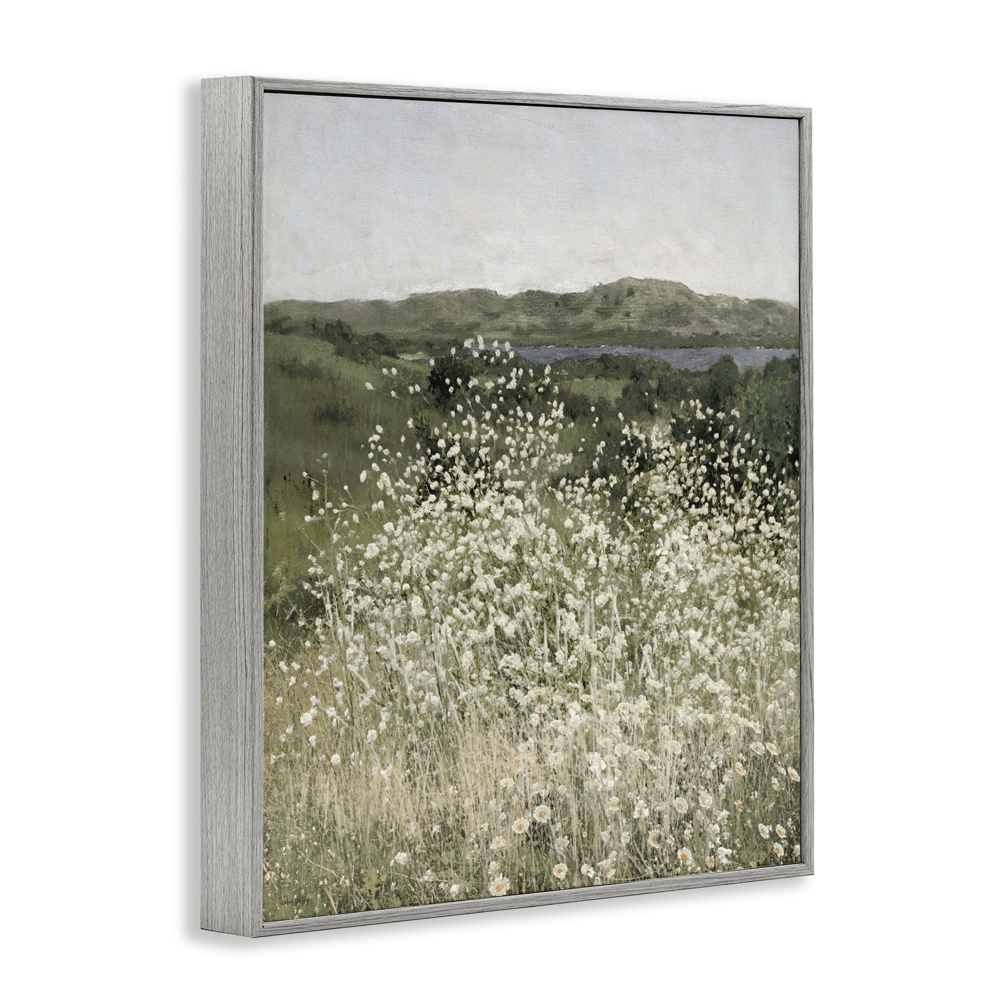 Stupell Industries Sunlit Meadow of White Daisies Gray Framed Giclee Art, design by Amber Sterling