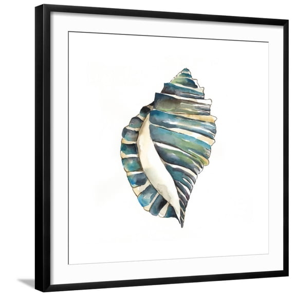Art.com Aquarelle Shells I Art Print by Chariklia Zarris, Black Frame Wall Art, 29" x 29"