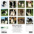 thumbnail image 2 of Border Collies 2026 Wall Calendar, (Paperback), 2 of 5