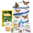 thumbnail image 1 of Kit de Mariposas Nature Gift Store 10 Orugas con Jaula, 1 of 8