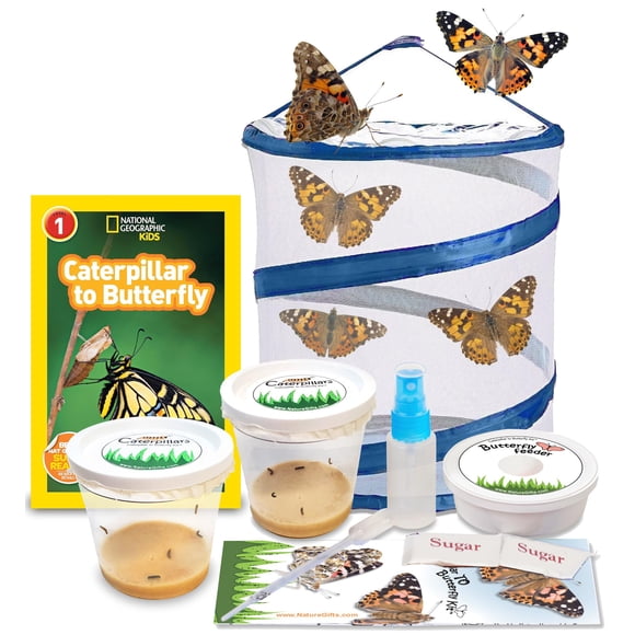 Kit de Mariposas Nature Gift Store 10 Orugas con Jaula