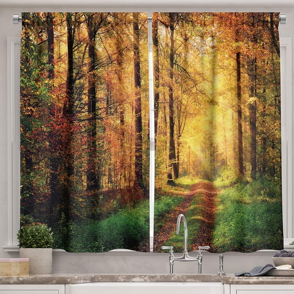 Modern Kitchen Curtains, Autumn Forest Scenery with Rays of Warm Sun on Shady Trees Woods Warm Feelings Art, Window Drapes 2 Panel Set for Kitchen Cafe Decor, 55" X 39", Yellow Green
