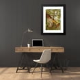 thumbnail image 4 of Christian Anton Goering 18x24 Black Modern Framed Museum Art Print Titled - The North American Vogelwelt Pl33 (1891), 4 of 5