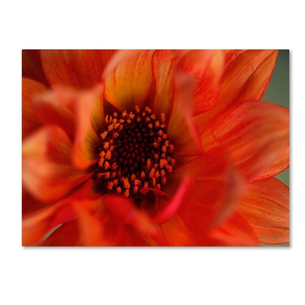 Trademark Fine Art "Fiery Dahlia" Canvas Art by Kathy Yates