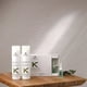 thumbnail image 3 of Shampoo Keratina Arual 250 ml Tratamiento Regenerador y Fortalecedor, 3 of 3