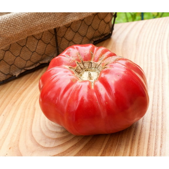 Pink Brandywine Sudduths Strain Beefsteak Heirloom Tomato Premium Seeds Packet