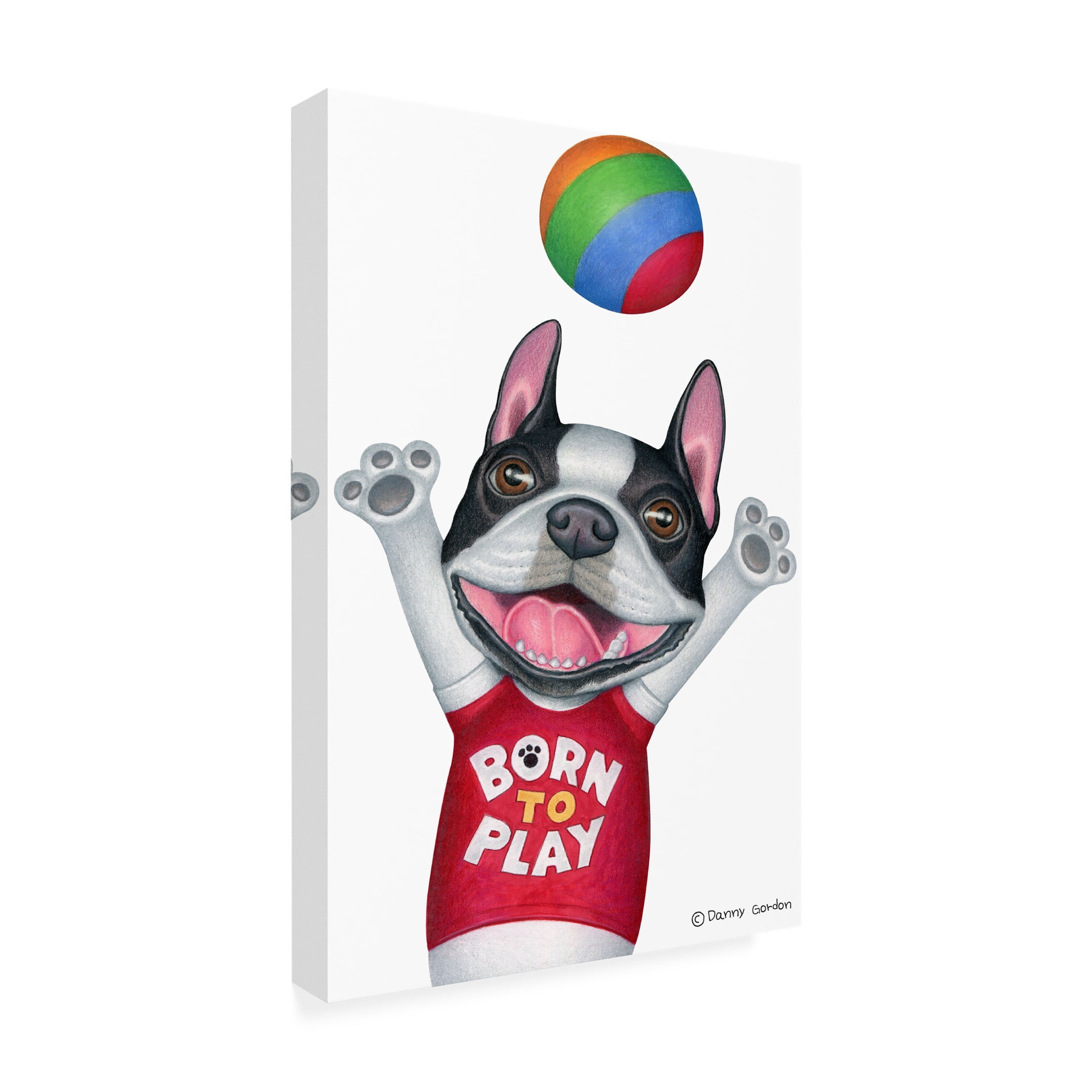 Danny Gordon Art 'Boston Terrier Playing Ball' Canvas Art