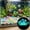 A, variant on Cififendec Simulated Lotus Leaf Aquarium Fish Bed, 2.56", Suction Cup Floating Resting Platform for Betta Fish Tank Landscape Decor & Fish Resting Area