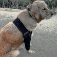 thumbnail image 3 of Breathable Dog Elbow Brace Protector Pads For Canine Elbow And Shoulder Support Elbow Hygroma, Dysplasia, Osteoarthritis, Elbow Calluses, 3 of 4