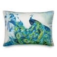 thumbnail image 2 of Creative Products Colorful Peacock Soft 2 14 x 20 Spun Poly Pillow, 2 of 3