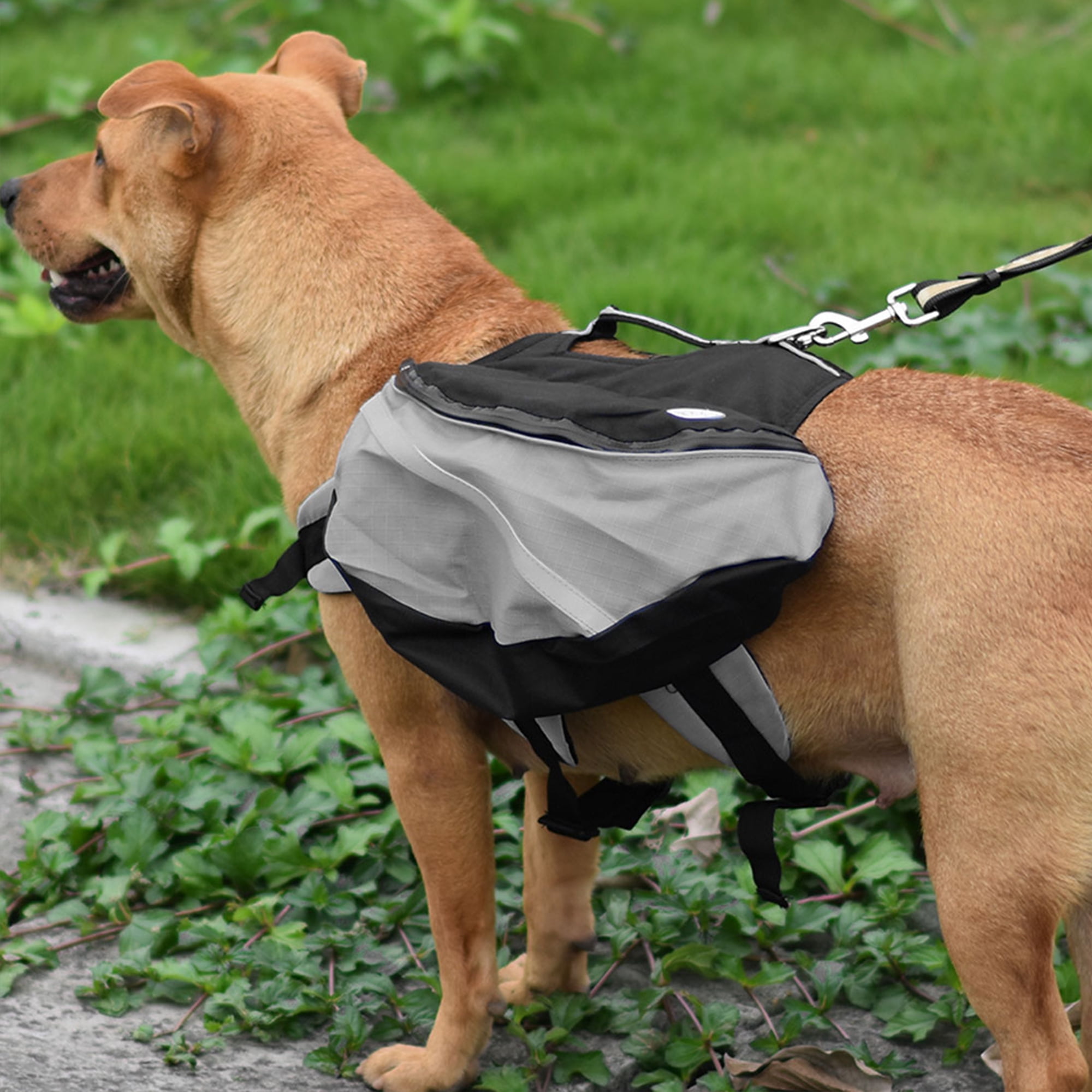 Camping dog lead holder Clearance