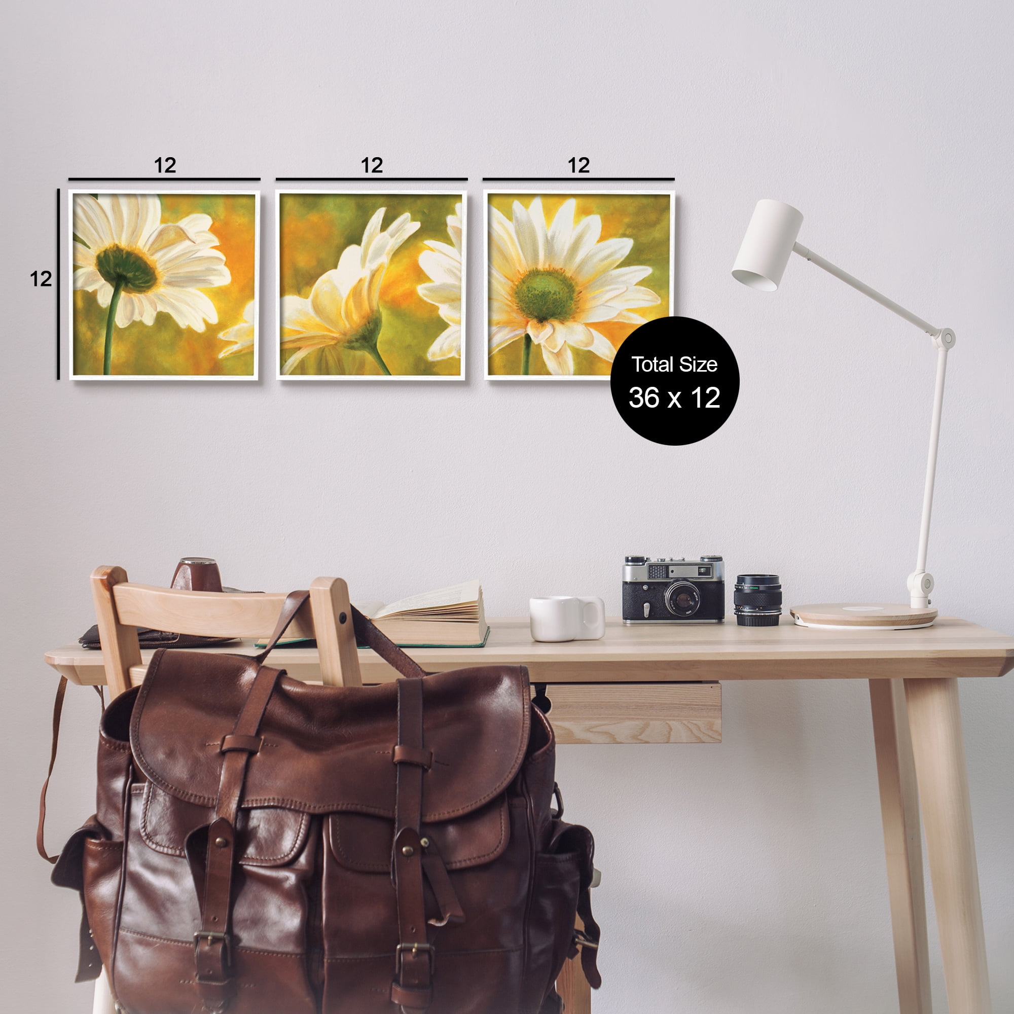 Stupell Blooming Wild Daisies Field Botanical & Floral Painting White Framed Art Print Wall Art, Set of 3