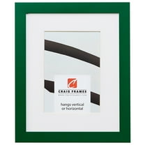 Craig Frames Confetti, 18x24 inch Modern Green Picture Frame Matted for a 12x18 Photo