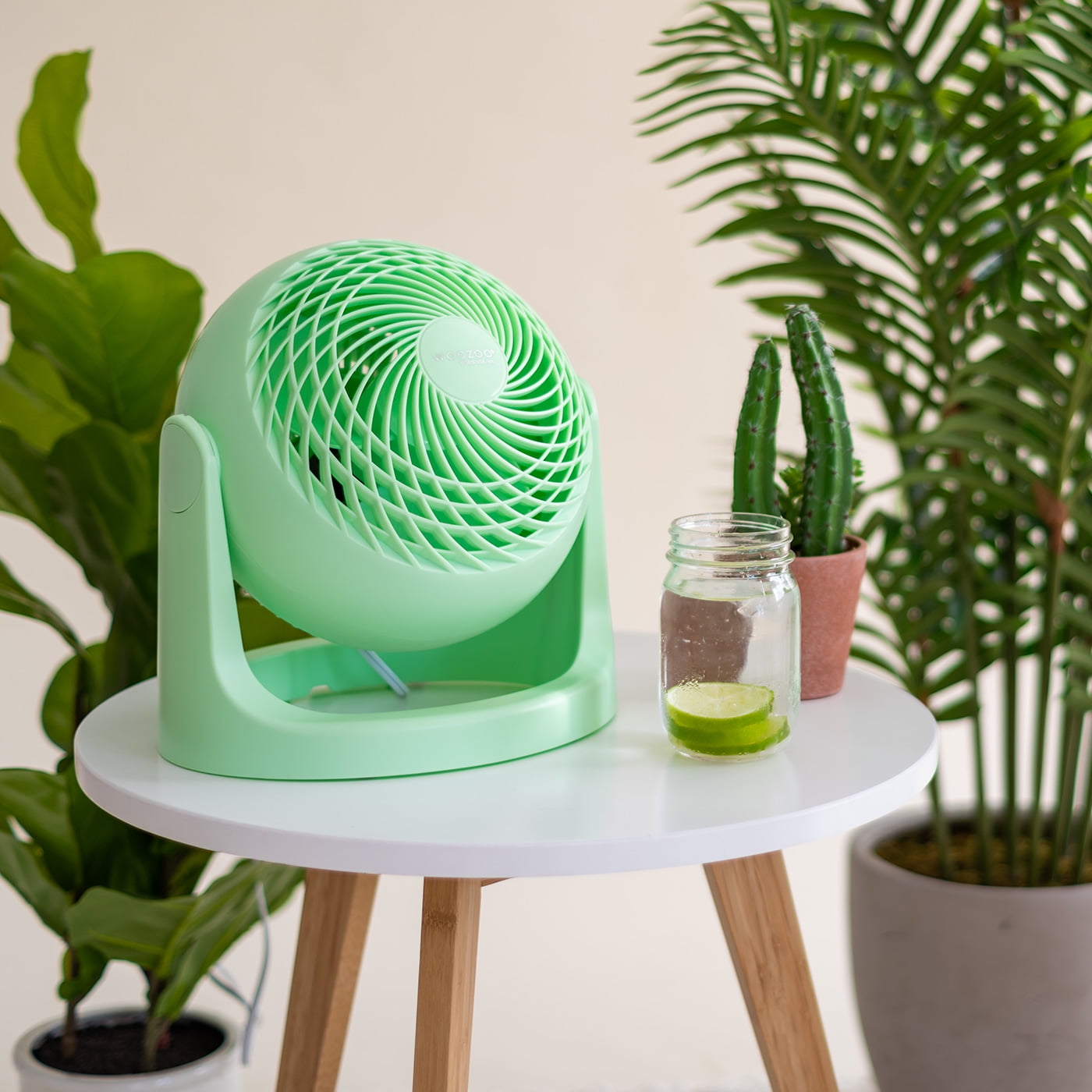 IRIS 2 Pack WOOZOO Circulator Fan, Table Air Circulator, Desk Fan, 3 Speeds, 52ft Max Air Distance, 11.5 Inches, 360° Adjustable, Low Noise, Green