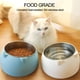 thumbnail image 3 of Cuencos para gatos de acero inoxidable, cuenco inclinado para perros y gatos, cuenco alimentador de agua extraíble, antideslizante y antiderrames para perros pequeños, medianos y grandes Adepaton 220367-3, 3 of 7