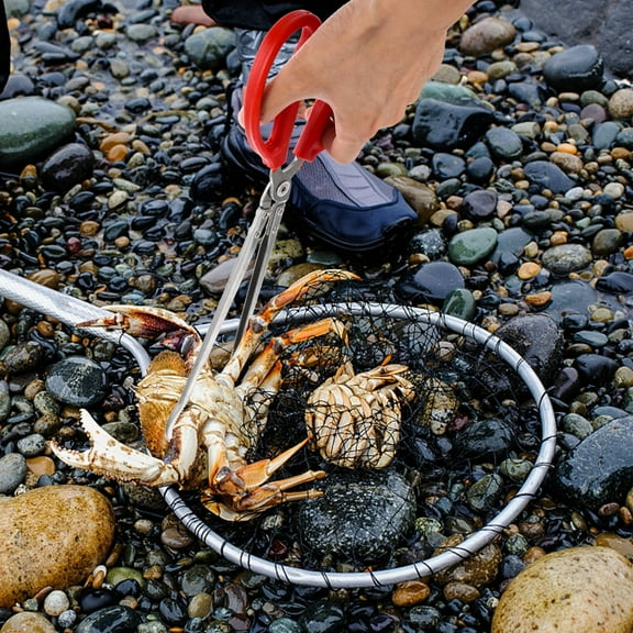 Baluue Fish Grippers ABS Preventing Slipping Beach Seafood Catching 1Pcs