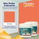 thumbnail image 2 of PINTEX Kit Pinta-me 2 Galones Pintura Vinil-Acrílica 3.8 L c/u | Incluye Brocha, Rodillo, Felpas, Masking Tape y Plastiprotector | Acabado Mate | Interiores y Exteriores | Toronja, 2 of 5