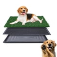 thumbnail image 1 of Orinal de césped artificial para perros FluffyDream con bandeja de 50 x 75 cm, 1 of 6