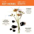 thumbnail image 3 of Himalaya UriCare Herbal Supplement, Kidney & Bladder Support, Gluten Free, Vegetarian, 240 Capsules, 3 of 6