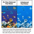 thumbnail image 2 of Rx Clear pH Minus Water Balancer for Swimming Pools, Granular Sodium Bisulfate, 3 lbs, 2 of 6