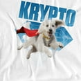 thumbnail image 3 of Superman 2025 Krypto Jump Kids T Shirt for Youth Boys and Girls, 3 of 6