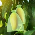thumbnail image 4 of TSV 50pcs Fruit Protection Bags, 12 x 8" Plant Netting Covers with Drawstring for Garden, 4 of 7