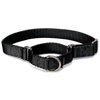 Premier Pet Products Martingale Collar, Medium, Black