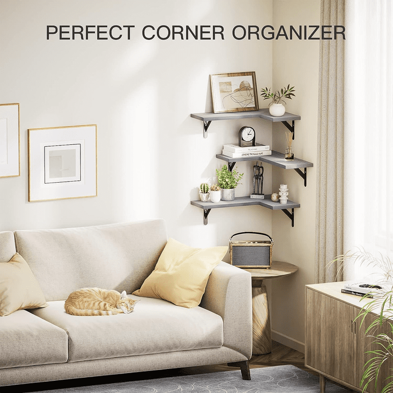 Living Room Corner Shelving Ideas | Cabinets Matttroy