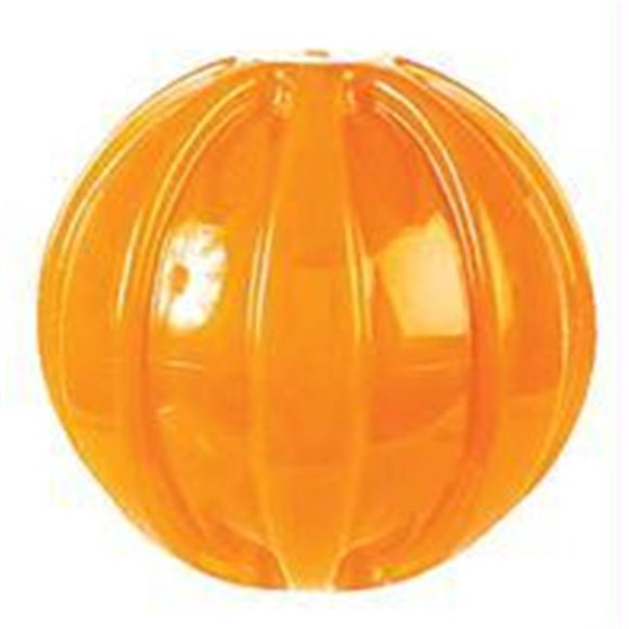 Jw-Dog-cat-aquatic-Play Place Squeaky Ball- Assorted Small