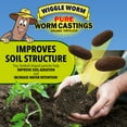 thumbnail image 6 of Wiggle Worm 100% Pure Organic Mineral-Dense Worm Castings Fertilizer, 30lbs - Improves Soil Fertility and Aeration for Growing Better Houseplants, Vegetables, and More, 6 of 8