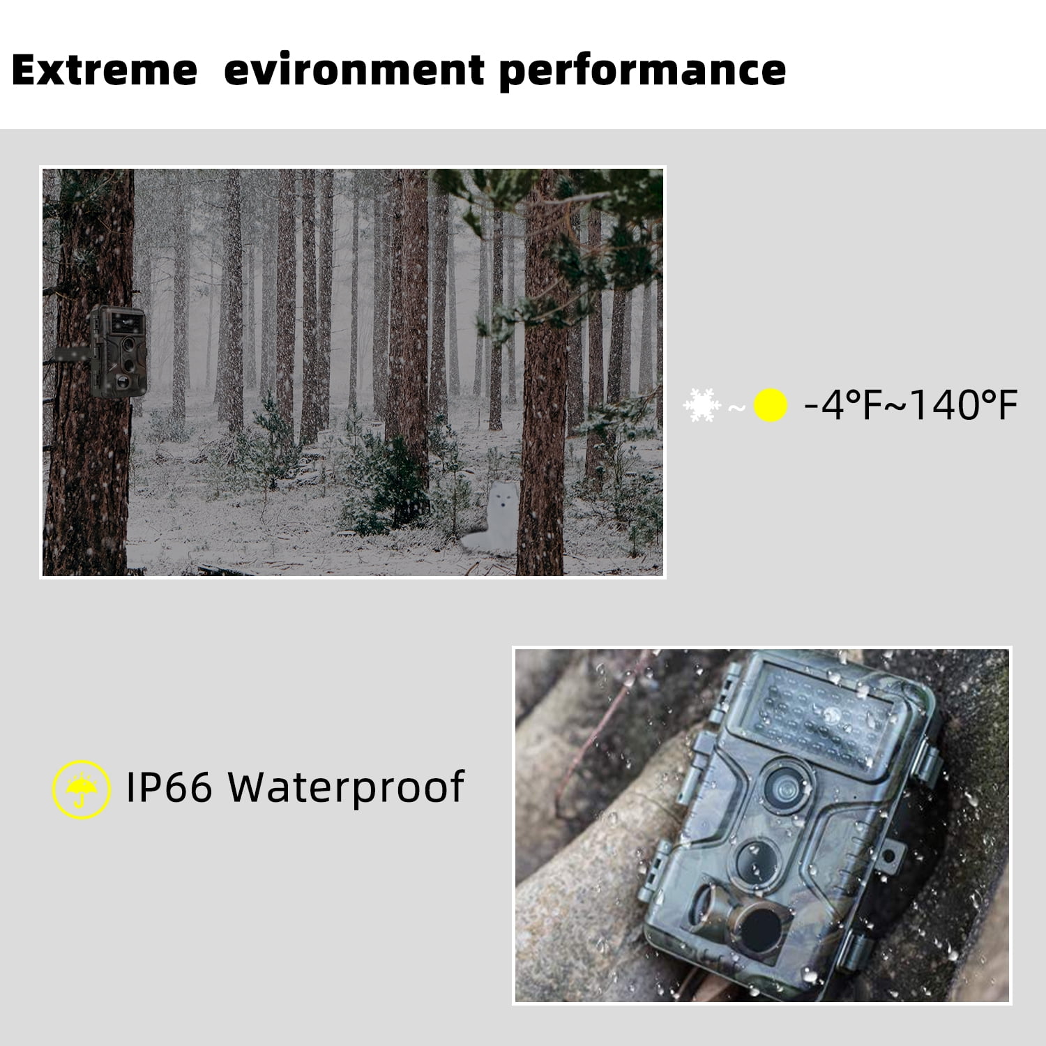 agitato trail camera
