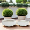 thumbnail image 5 of Brivara Smooth Bowl Planter Set (Set of 2), 5 of 6