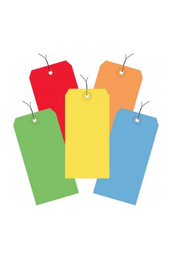 TapePlanet 13 pt. Assorted Color Packs Shipping Tags (1000 Per/Case) (6 1/4 x 3 1/8", Assortment Pre Wired)