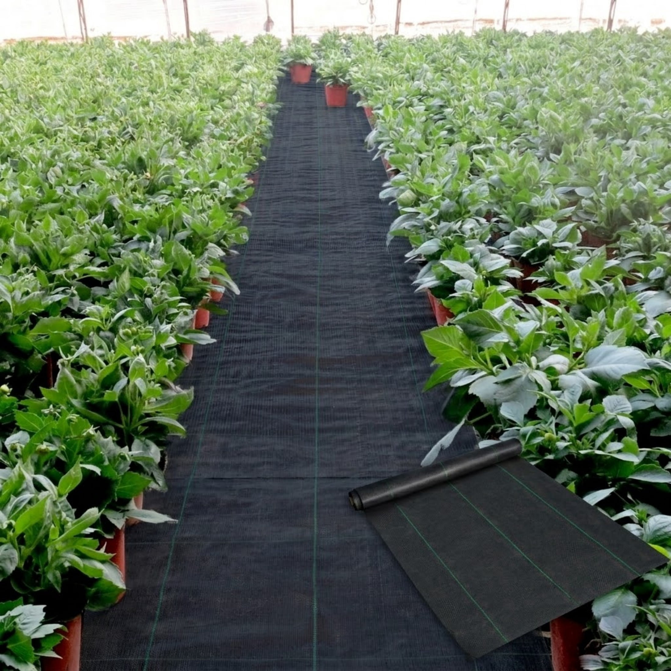 6.5 x 300 ft Weed Barrier Fabric, 3.2 Oz Heavy Duty Woven Geotextile Ground Cover for Flower Beds & Garden