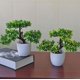 thumbnail image 2 of Planta artificial en maceta Ganoderma Simulación Bonsai Árbol Plantas verdes al aire libre Decoración del hogar Sala Comedor Mesa Dormitorio Oficina Decoración Simulación Planta en maceta Pl, 2 of 4