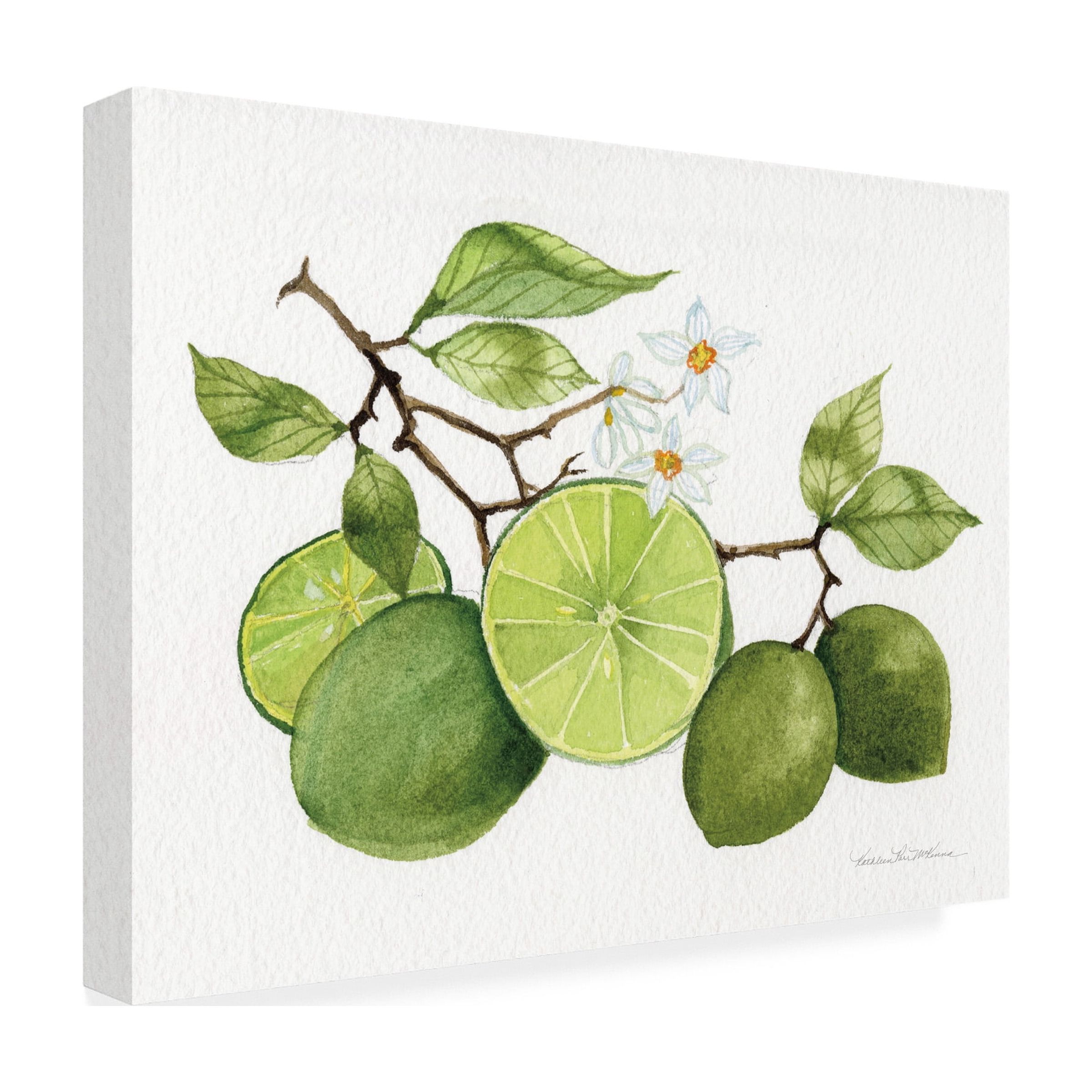 Trademark Fine Art 'Citrus Garden VII' Canvas Art by Kathleen Parr McKenna