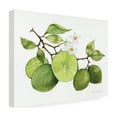 thumbnail image 4 of Trademark Fine Art 'Citrus Garden VII' Canvas Art by Kathleen Parr McKenna, 4 of 4