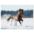 thumbnail image 2 of Horse Running in Winter - Landscape Photography Canvas Print, 2 of 3