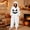 Light Ashy, variant on Black Adult Hooded Pumpkin Plush Onesie Pajamas, Funny Onsies Halloween Costume Polyester Plush Fleece Hooded Funny Cozy Pajamas Jumpsuit Thickened Casual Loungewear Outfits S