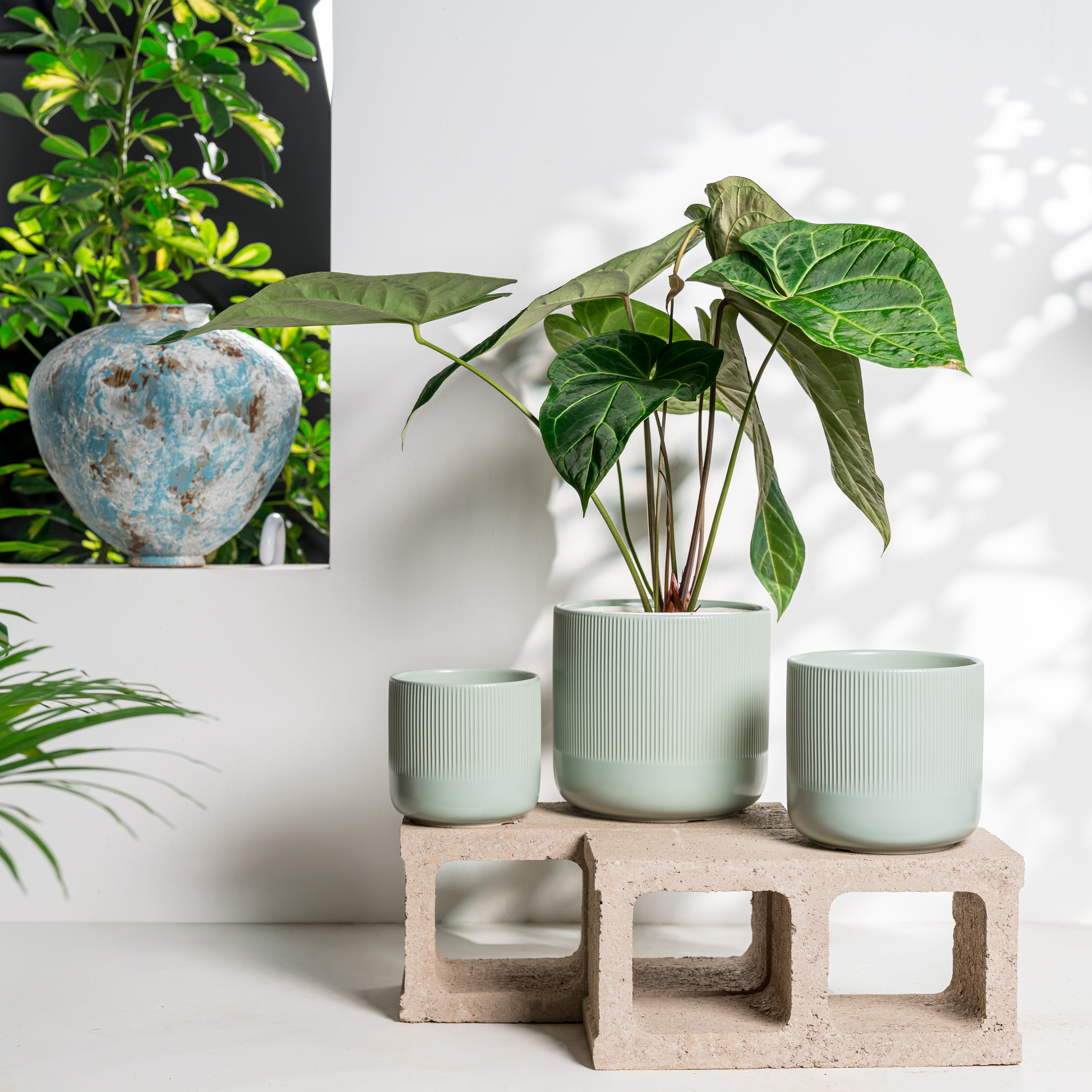 UMIAMOY Cylinder Ceramic Plant Pots,5.8+6.9+8.3 inch Plant Pots with Drainage Holes and Saucer,Set of 3 Ceramic Flower Pots for Indoor Outdoor Decoration,Light Green