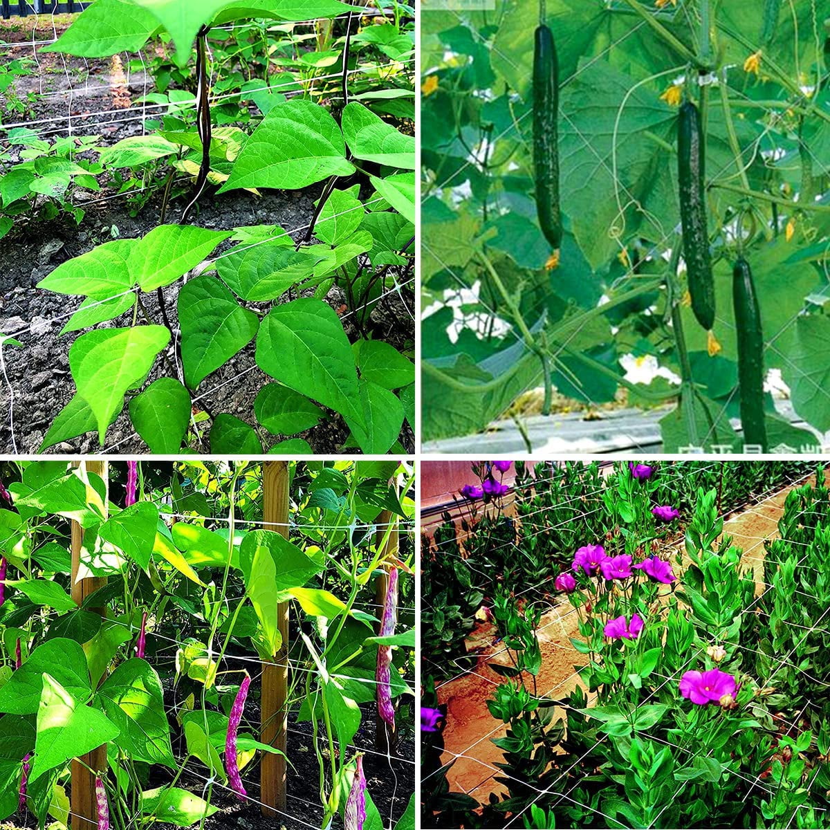 White Trellis Netting 4x100 ft Heavy Duty Garden Netting Polypropylene Plant Support Net for Climbing Vegetables Fruits Flowers