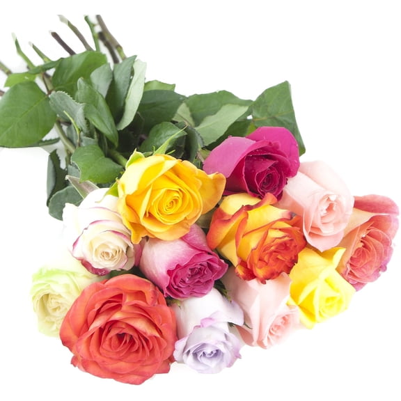 KaBloom : 4 Orange, 4 Pink Roses, 4 Rainbow Roses Next-Day Delivery, Gift for Every Occasion.